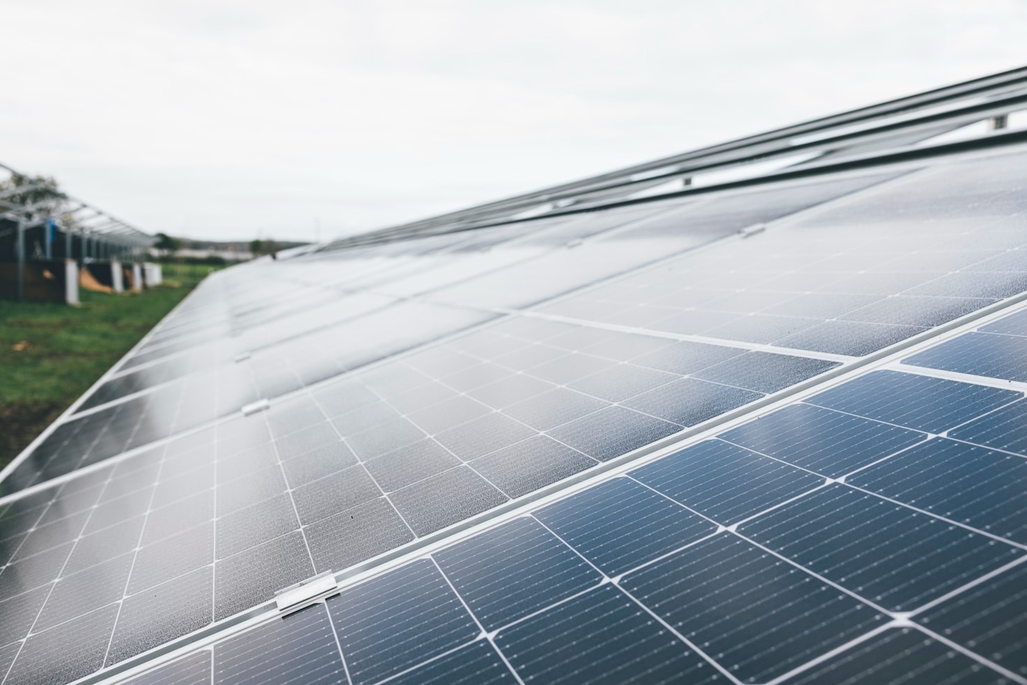 Exploring the European Commission’s Bioeconomy Strategy