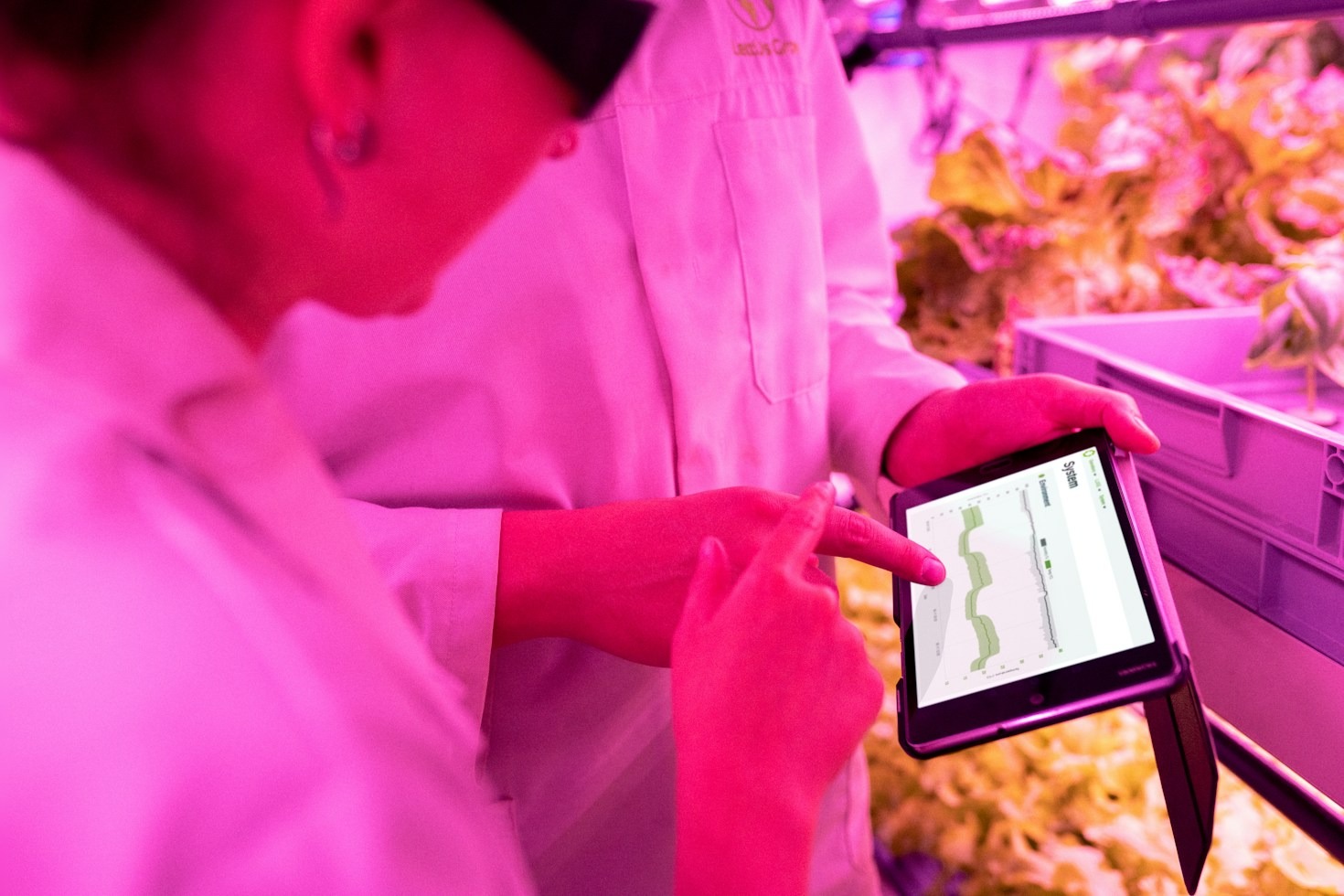 Guide til effektiv udnyttelse af restbiomasse i biogas